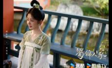 電視劇《蜀錦人家》劇情介紹