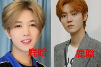 鹿哈真的月入500萬嗎？鹿哈憑啥走紅？