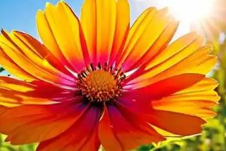 外陰一粒一粒像脂肪粒一樣怎么辦？