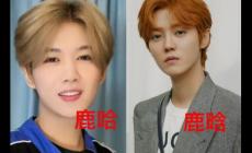 鹿哈真的月入500萬嗎？鹿哈憑啥走紅？