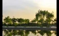 陜西省三本院校有哪些大學 陜西省三本院校名單2024