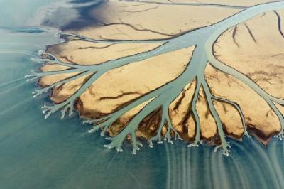 三角洲是什么意思 什么是三角洲