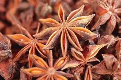 藤縣古龍大紅八角多少錢一斤