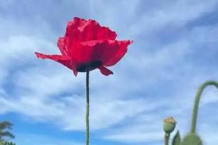 英文單詞enthusiastic如何記憶比較準又快？