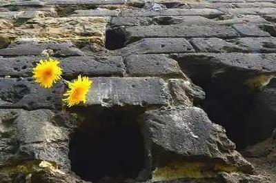 山東滕縣保衛戰師長是誰 山東滕縣保衛戰師長是誰啊