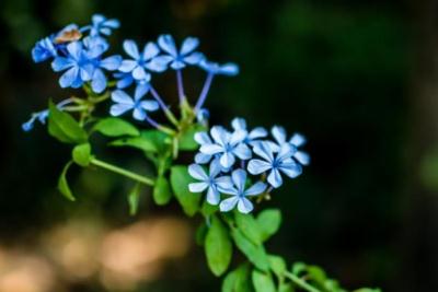 滿面春風造句_滿面春風造句大全