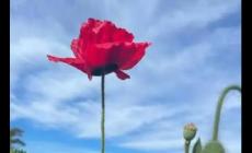 英文單詞enthusiastic如何記憶比較準又快？