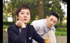 安家分集劇情介紹之大結局是什么