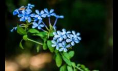 滿面春風造句_滿面春風造句大全