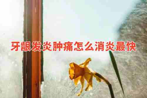 牙齦發炎腫痛怎么消炎最快