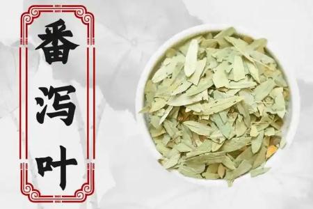 長期便秘喝番瀉葉好嗎 我已經(jīng)喝番瀉葉14年了