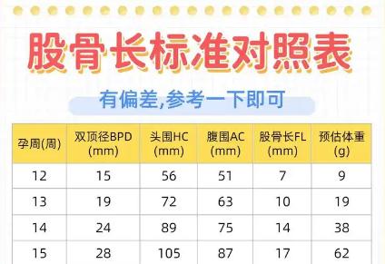 股骨長偏小一周是缺鈣嗎？