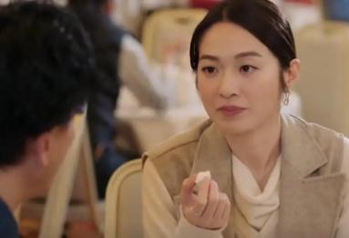 法證先鋒6 電視劇 寶英去哪了及結(jié)局