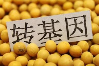 轉基因對身體有害嗎？三個轉基因危害害處盤點