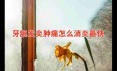 牙齦發(fā)炎腫痛怎么消炎最快?