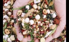 祛濕茶可以減肥嗎 祛濕茶對減肥有效果嗎