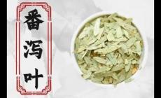 長期便秘喝番瀉葉好嗎 我已經喝番瀉葉14年了