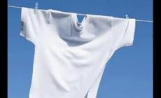 國產洗衣粉品牌排行榜前十名有哪些？