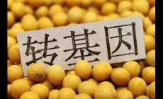 轉基因對身體有害嗎？三個轉基因危害害處盤點