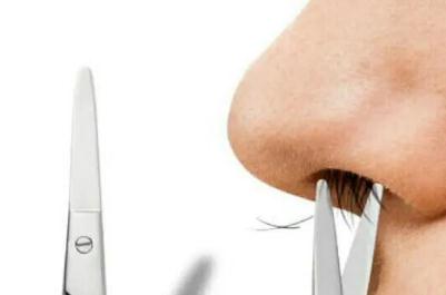 鼻毛長了怎么處理比較好 鼻毛長了怎么處理比較好 知乎