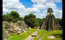 502是哪個國家的電話區號 502是哪個國家的電話區號啊