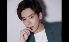 魏哲鳴主演的電視劇有哪些 魏哲鳴個人資料簡介