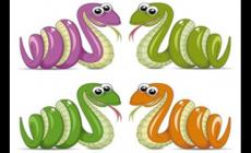 屬蛇男命中注定的姻緣怎么樣 屬蛇男命中注定的姻緣怎么樣呢