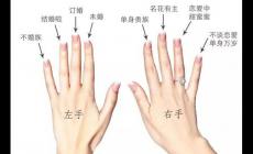 手指戴戒指的含義（圖解）