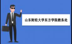 山東財經大學東方學院教務管理系統：https://www.sdor.cn/u6559/main.psp