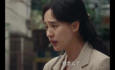 王寶強《棋士》電視劇中高淑華扮演者是誰