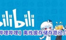 blbl緩存的視頻在哪個文件夾 嗶哩嗶哩緩存視頻的存儲路徑