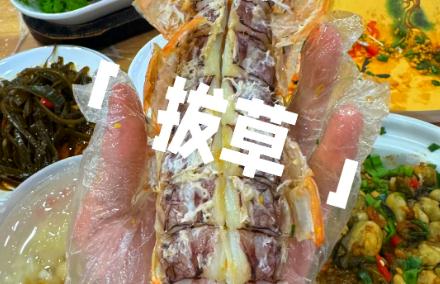 網紅拔草是什么意思 網紅拔草是什么意思啊