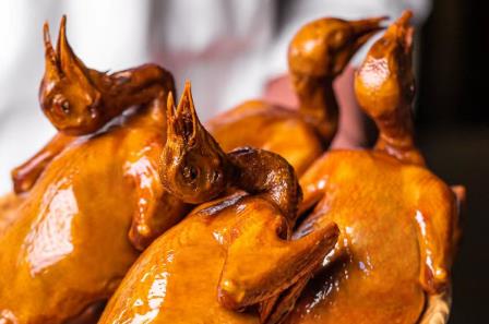 深圳光明招待所乳鴿多少錢一只2025(深圳特產光明乳鴿多少錢一只)