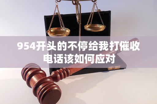954開頭的不停給我打催收電話該如何應對