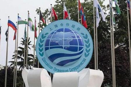 巴基斯坦是上合組織成員國嗎?