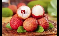 荔枝一天吃多少個合適 荔枝一天吃多少個比較好