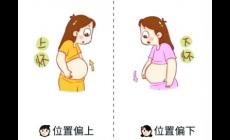 剛懷孕如何判斷是兒是女(懷男孩月經(jīng)在月頭還是月尾呢)