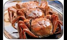 女人吃螃蟹有什么好處和壞處呢（女人吃螃蟹的好處與壞處）