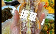 網紅拔草是什么意思 網紅拔草是什么意思啊