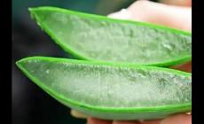 薈寶的蘆薈灌膚怎么樣（薈寶蘆薈灌膚效果好嗎）