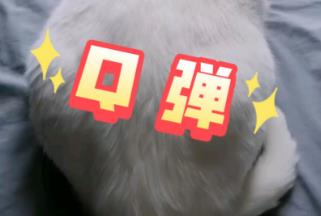 q彈的意思,q彈是什么意思網絡詞,q彈這個詞怎么來