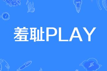 角色扮演羞恥play是什么意思