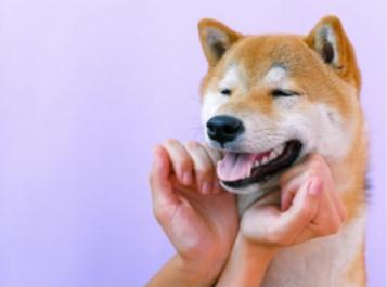 流氓有內(nèi)涵的名字搞笑的昵稱大全