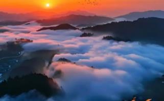 別人拿你當炮灰你該怎么辦? 給別人當炮灰是什么意思