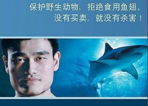 沒有買賣就沒有傷害英語翻譯是什么