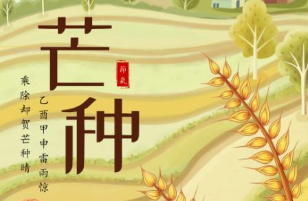 芒種節(jié)氣介紹 芒種節(jié)氣介紹資料600字