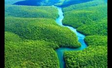 世界上最大的平原是哪個 世界第一大平原是什么平原