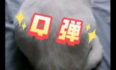 q彈的意思,q彈是什么意思網絡詞,q彈這個詞怎么來