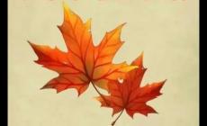 領導把你當傻子的十種表現 領導把你當傻子員工怎么辦