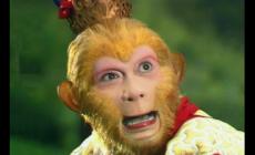 孫猴子的臉歇后語下一句 有關(guān)孫猴子的歇后語大全